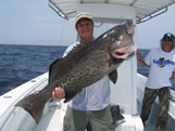 40lb oak island fishing charters gag grouper